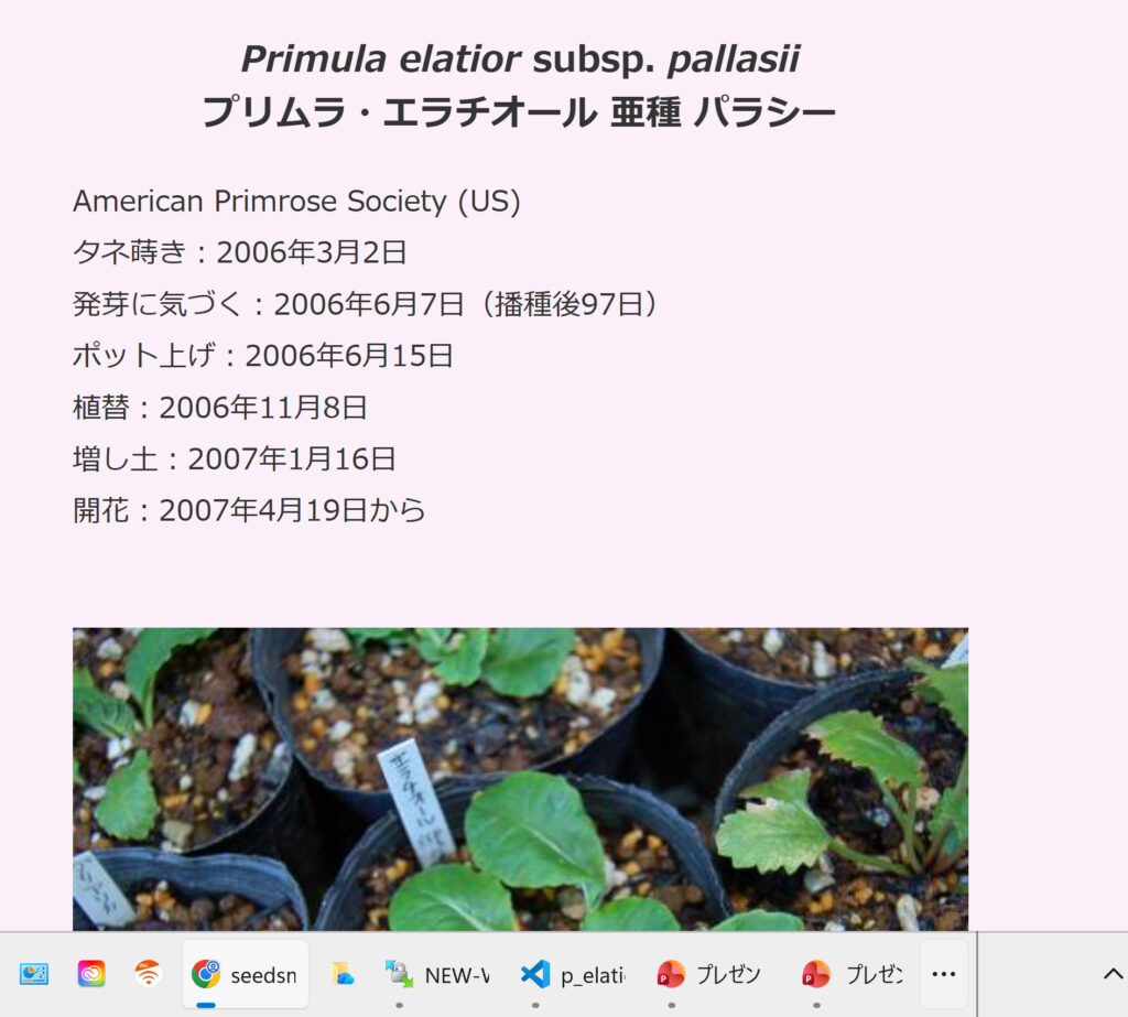 ビデオの作成でサイズの設定