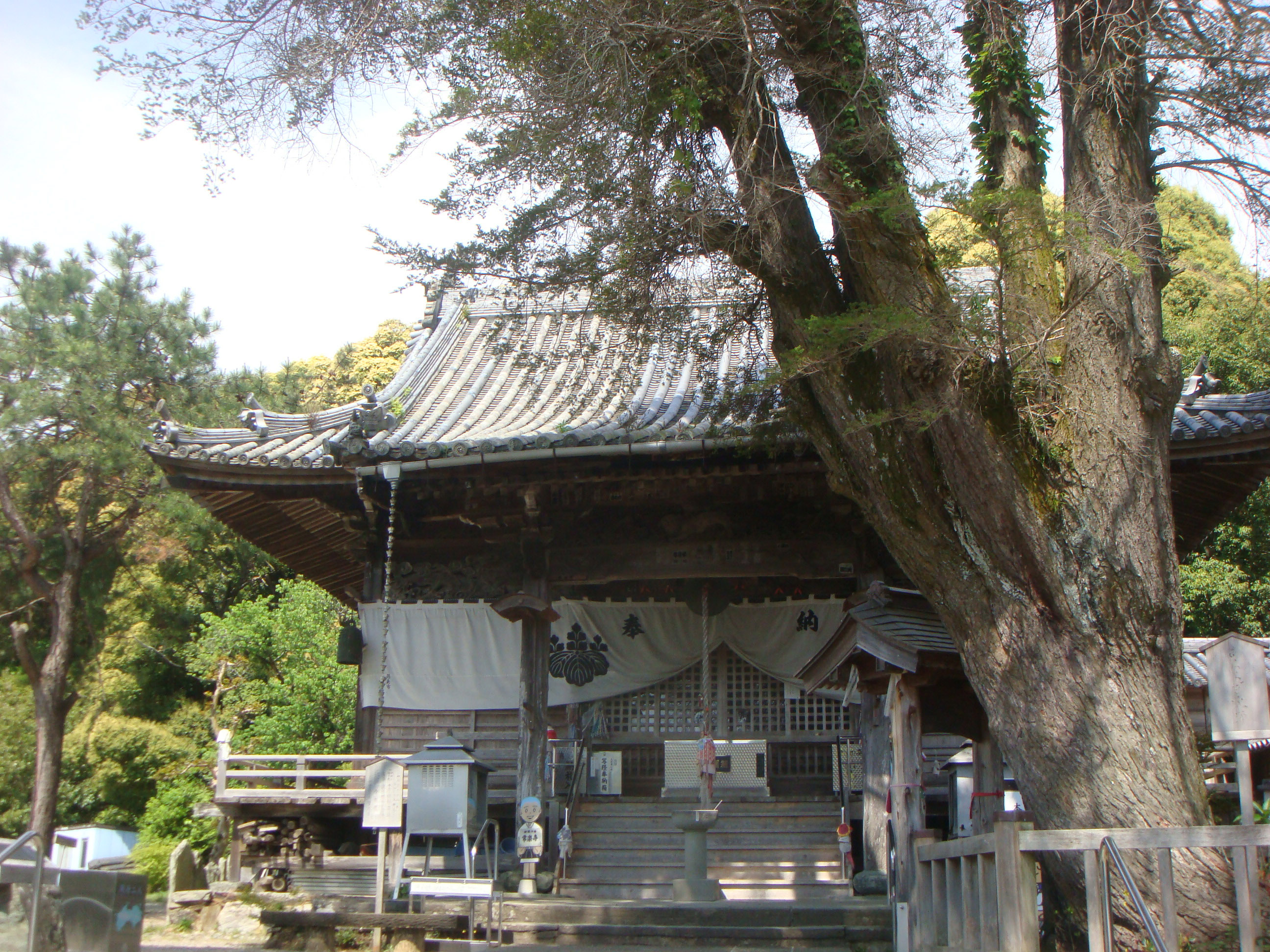 awa_jorakuji_20160423_3