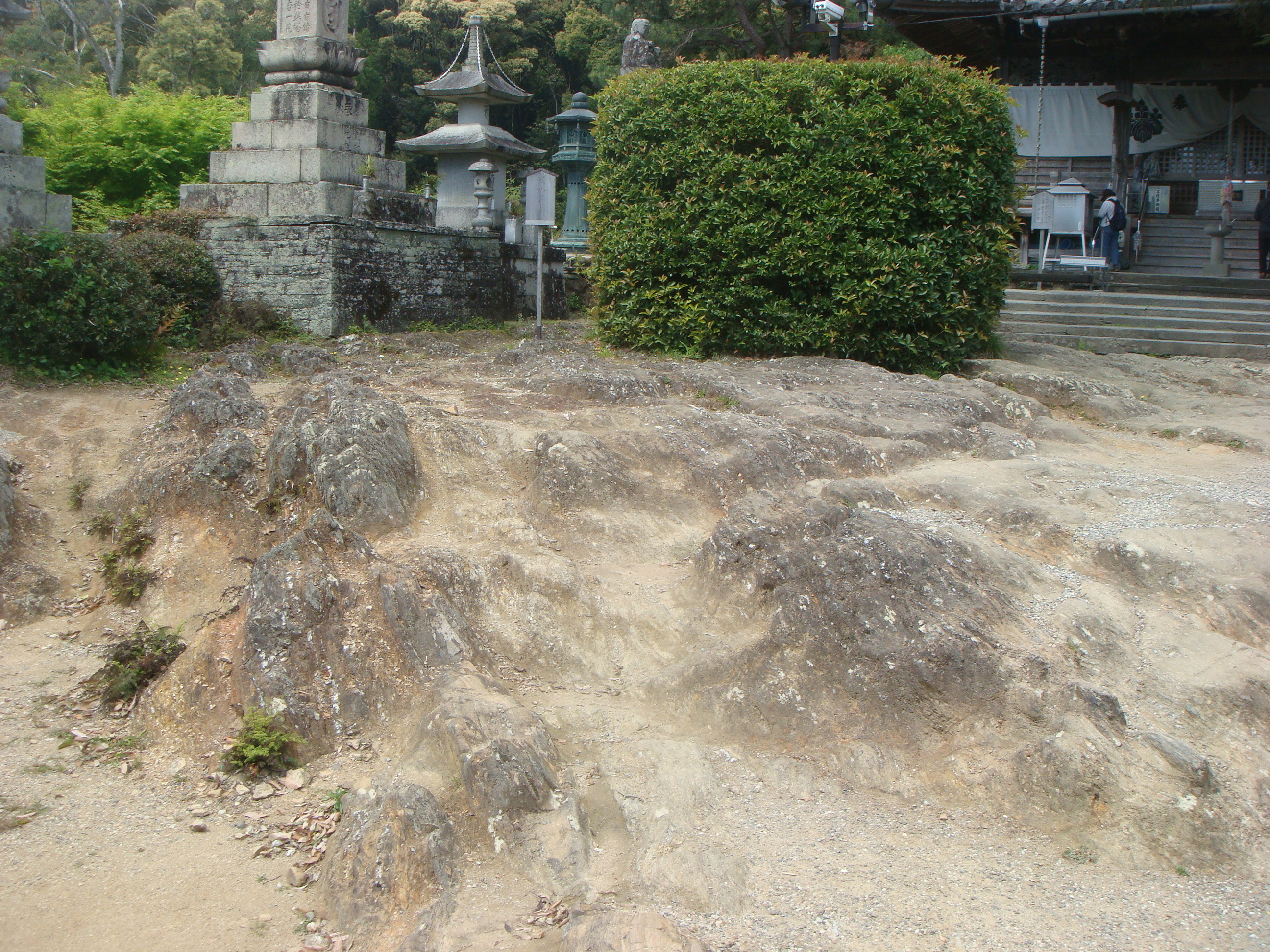 awa_jorakuji_20160423_4