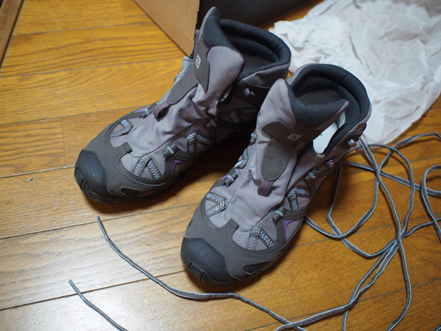 Salomon Mezari MD GTX
