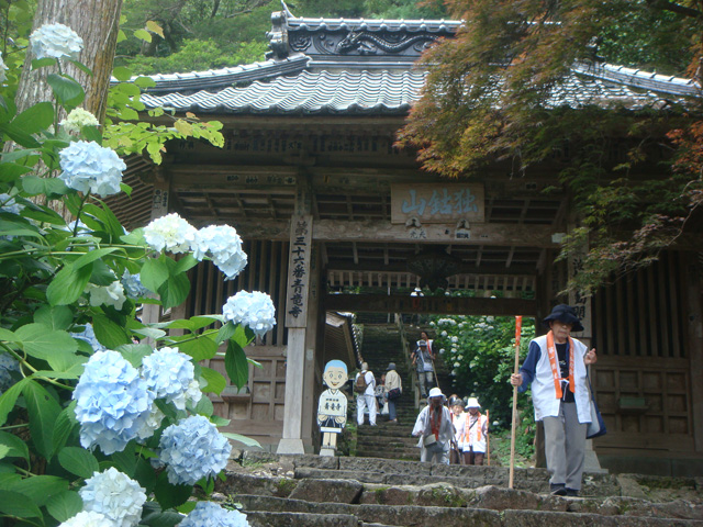 tosa_shohryuji_20160609_23