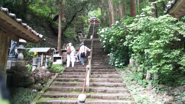 tosa_shohryuji_20160609_24
