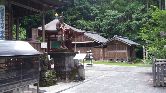 tosa_shohryuji_20160609_28