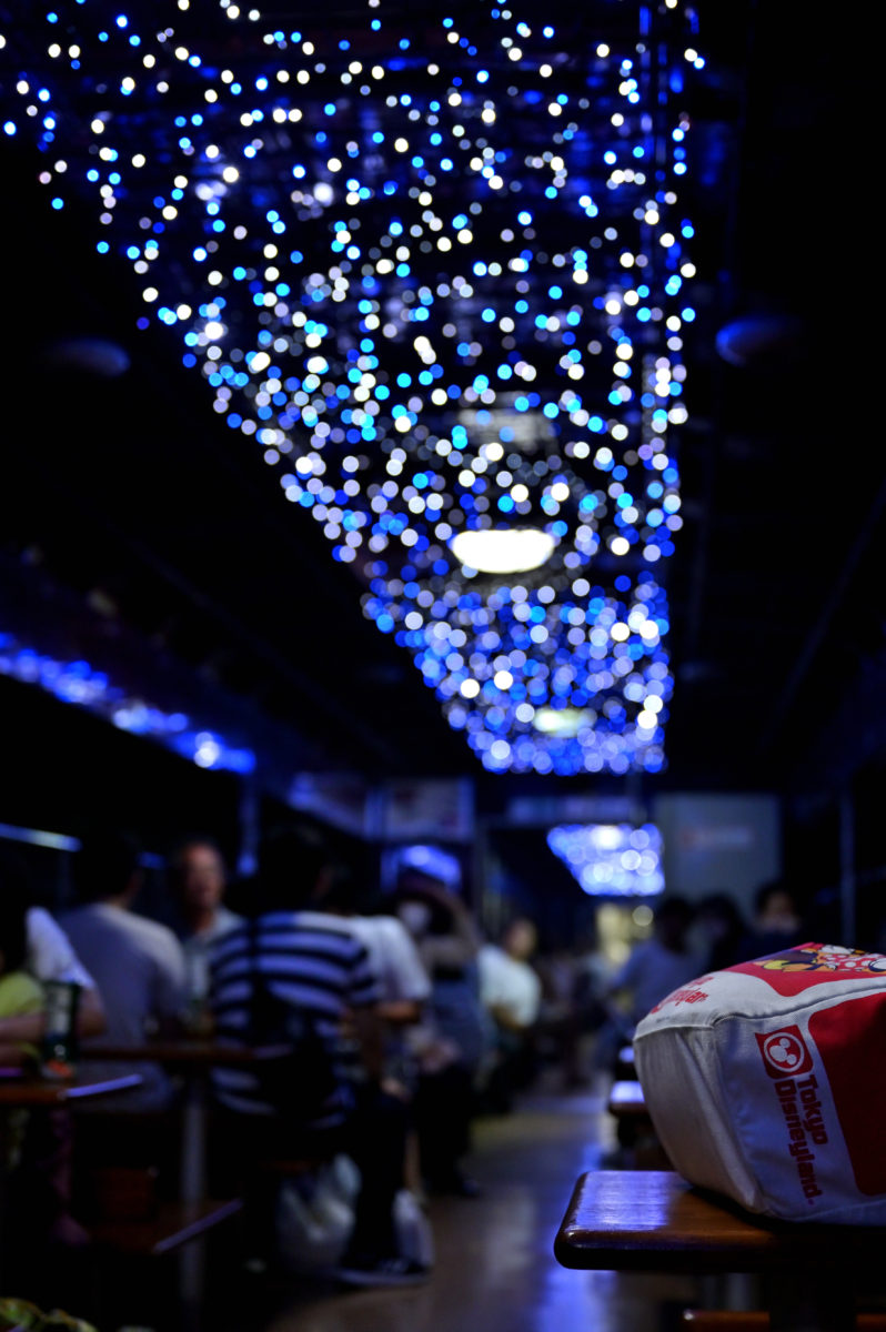 わたらせ渓谷3号　トンネル内イルミネーション