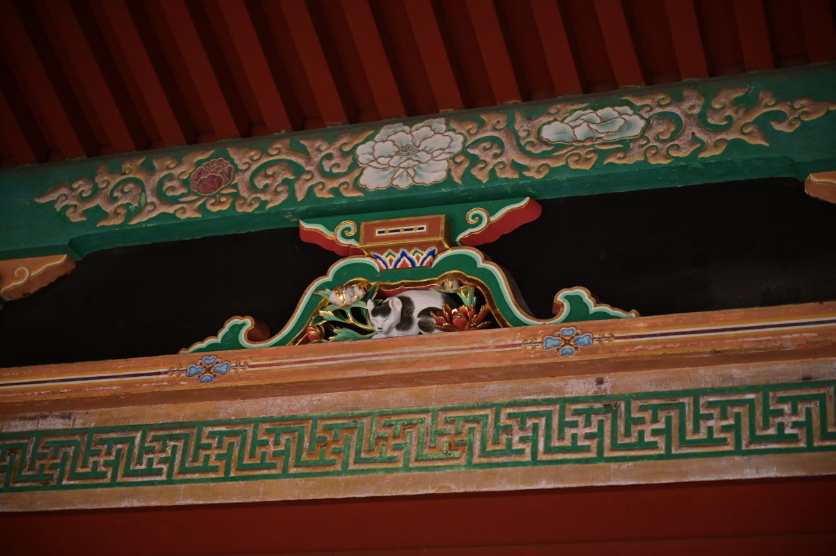 日光東照宮　たまちゃん(眠りネコ)