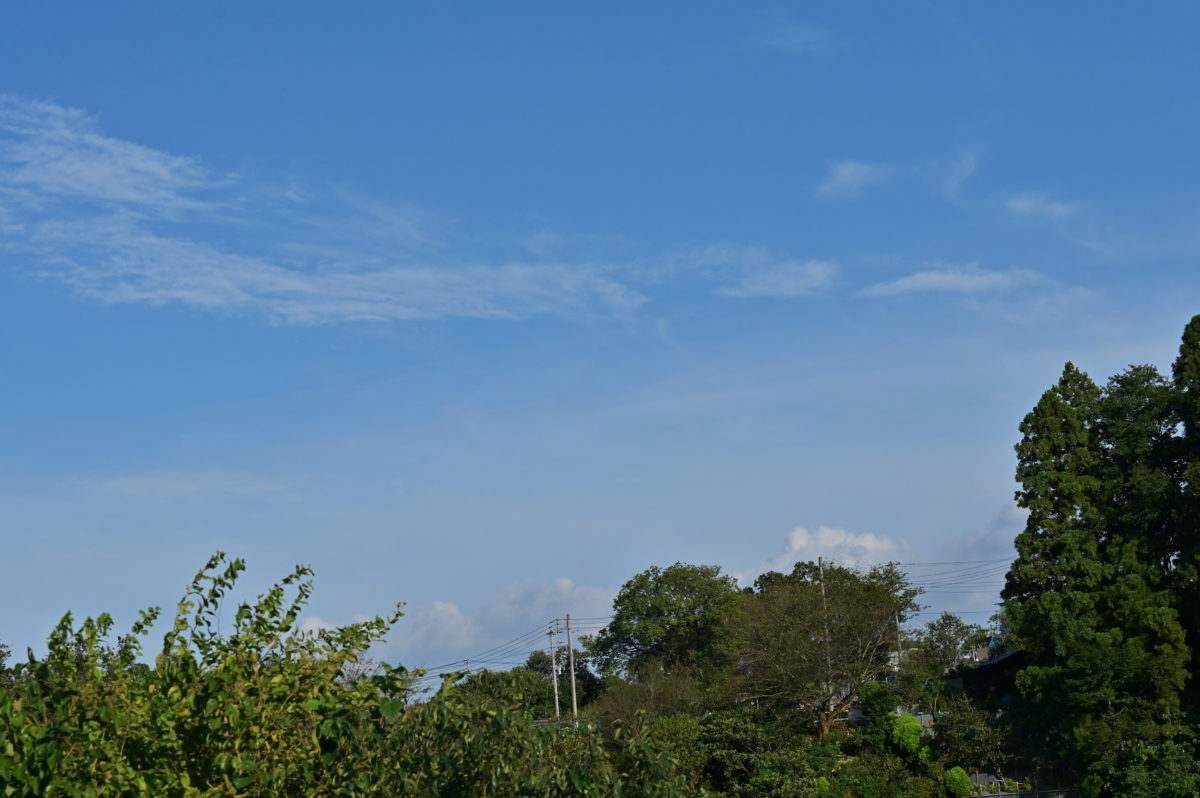 アクティブDライティングより強め