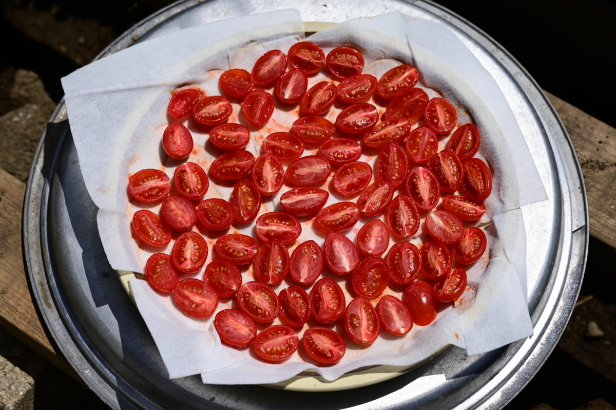 ドライトマト　アイコ